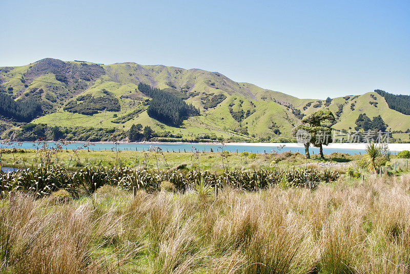 Cable Bay, Nelson，新西兰